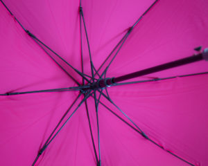 pantone matched canopy